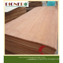 Rotary and Slicing Cut Timber Veneer with High Quality